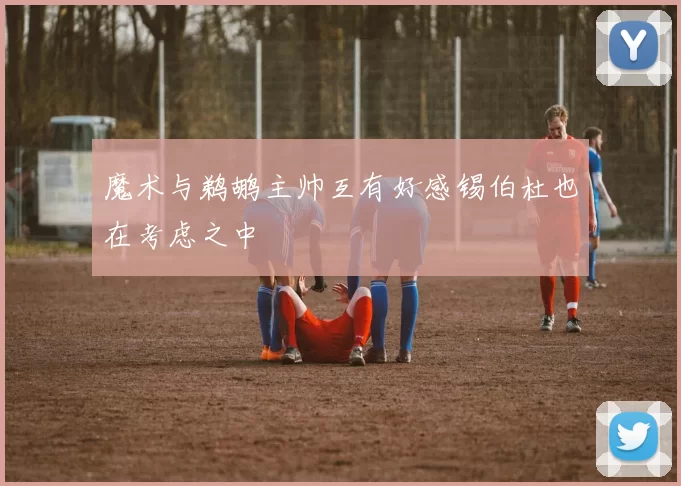 魔术与鹈鹕主帅互有好感锡伯杜也在考虑之中