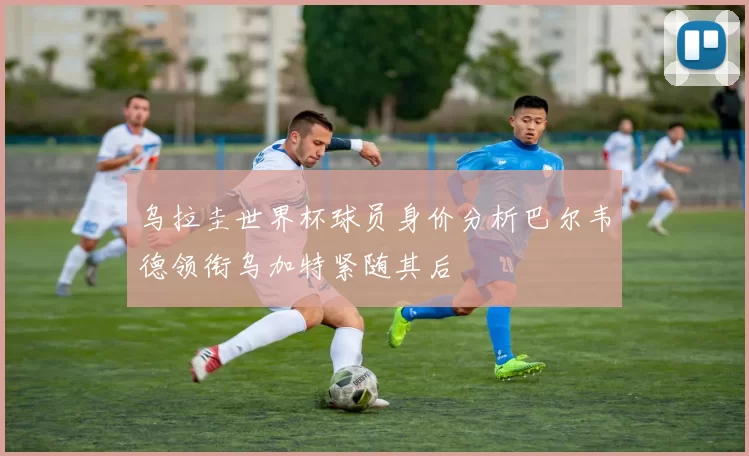 乌拉圭世界杯球员身价分析巴尔韦德领衔乌加特紧随其后